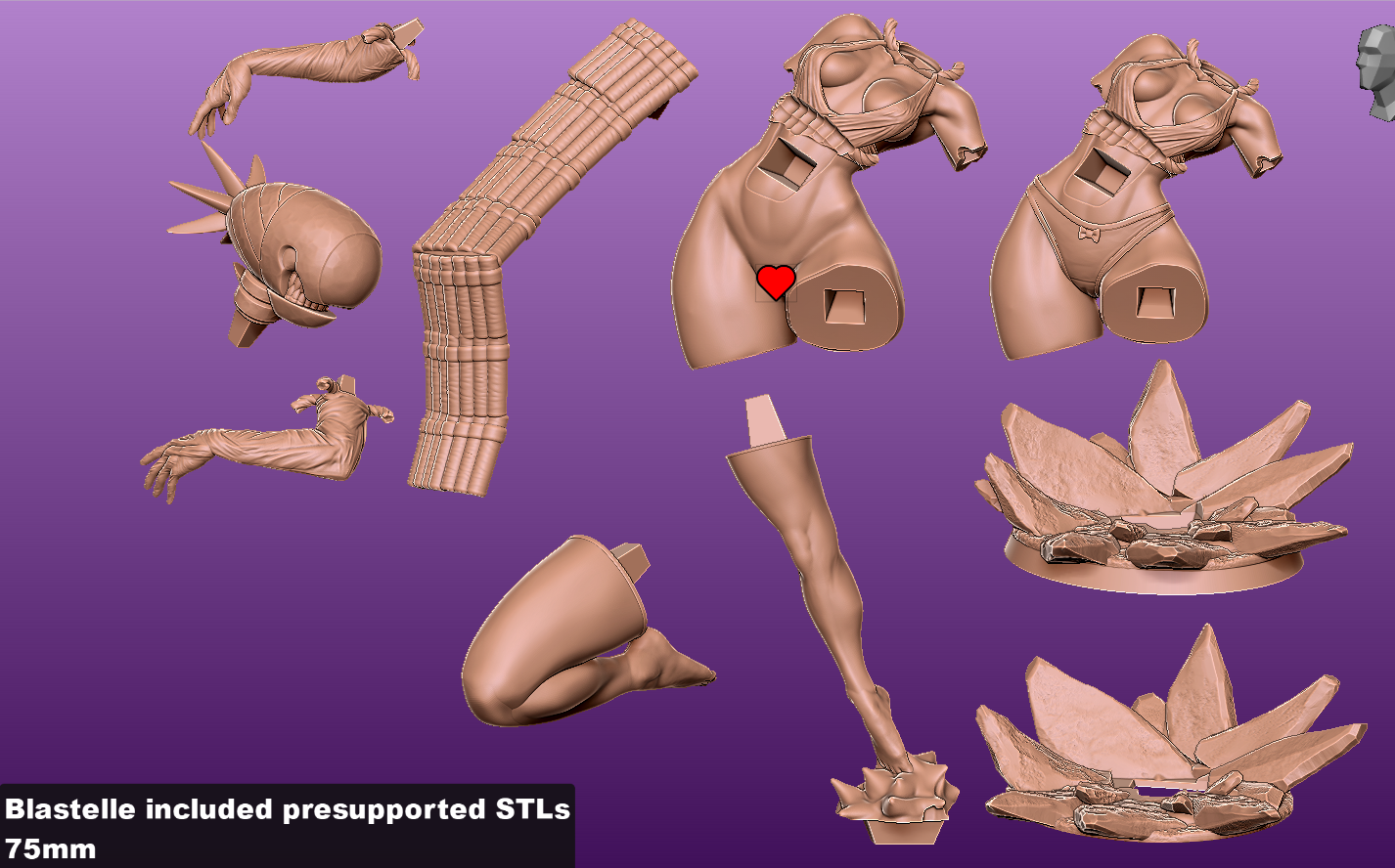 various 3D models of a character, including a bust, a leg, and other parts of the body, as well as a skull. The image is described as a collage of multiple images, and it is 75mm in size. The image does not contain any text.