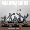 a group of five figurines of drudgeayers, a type of fantasy warrior, arranged on a wooden surface.