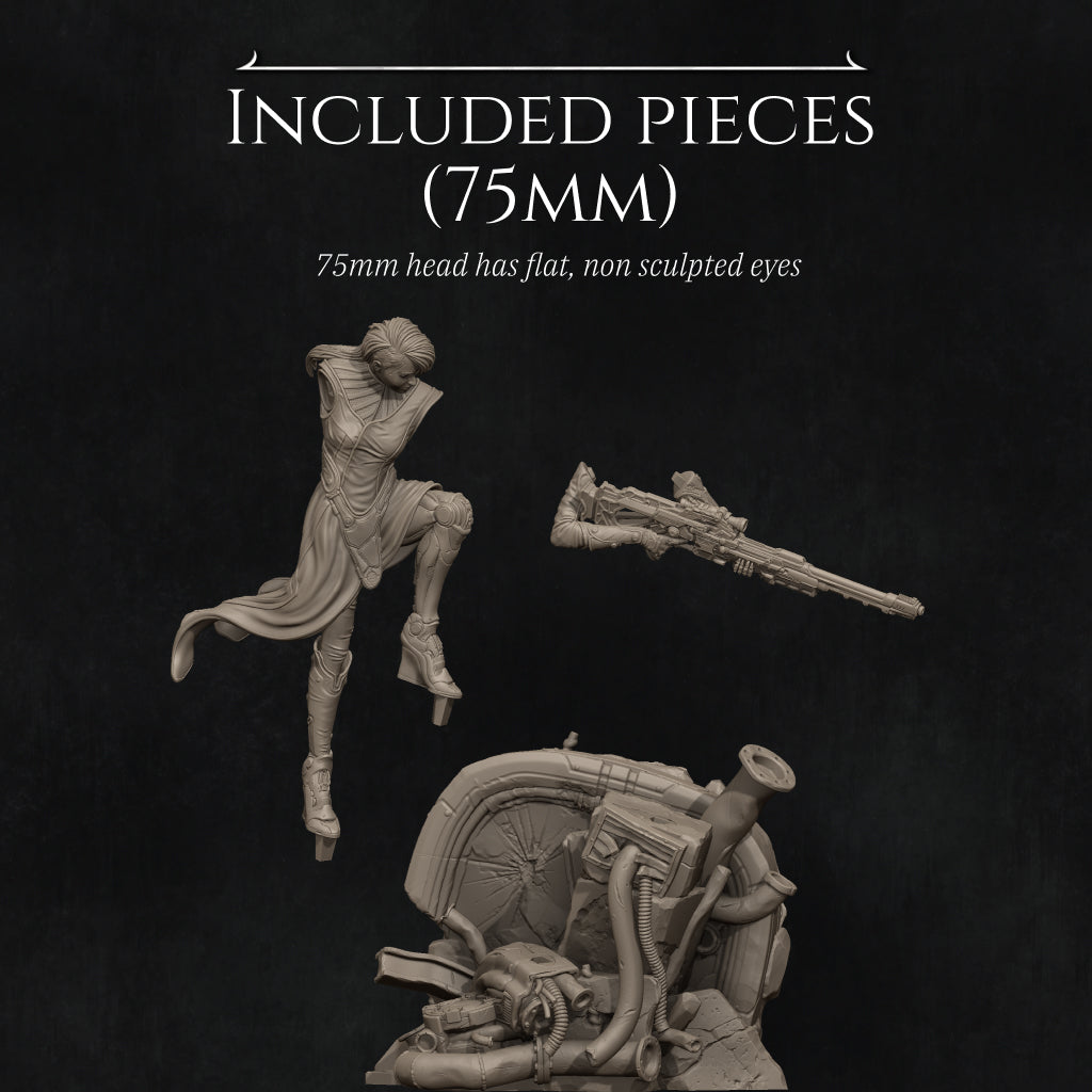 three different sculptures, including a figure with a gun, a figure with a large gun, and a figure with a large gun. The sculptures are described as "INCLUDED PIECES (75mm)" and "75mm head has flat, non-sculpted eyes".