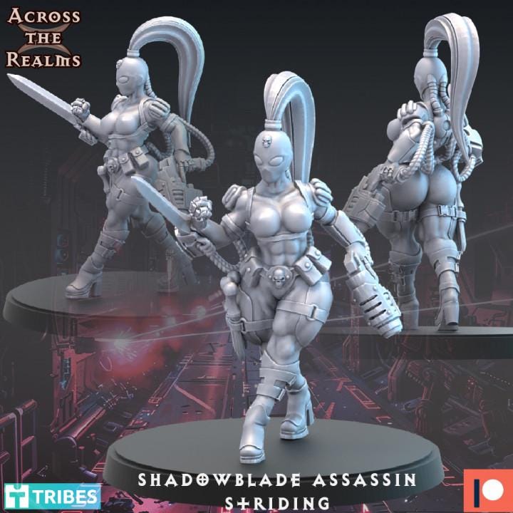 Shadowblade Assassin Miniature Set | Across the Realms | Grim Dark Resin Model | WH Compatible | OPR Compatible