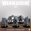Dominated Stormblades Miniatures | Warmachine| High-Quality 3D Printing Service