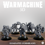 Dominated Stormblades Miniatures | Warmachine| High-Quality 3D Printing Service