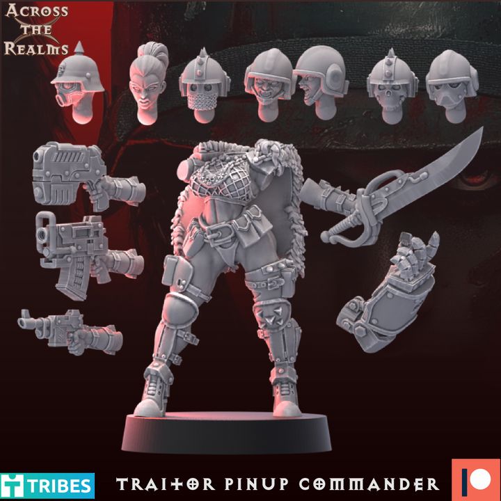 The image is a 3D rendering of a female character, likely a female warrior or pirate, with various weapons and accessories. The character is shown in a dynamic pose, with a sword in one hand and a shield in the other. The image also includes several other weapons and accessories, such as a gun, a helmet, and a chest protector. The image does not contain any text or additional objects, and the character is the central focus of the image.