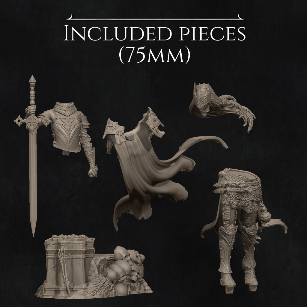 various pieces of armor and weapons, including a sword, a shield, and a helmet, all depicted in a detailed and realistic manner.