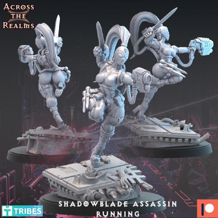 Shadowblade Assassin Miniature Set | Across the Realms | Grim Dark Resin Model | WH Compatible | OPR Compatible