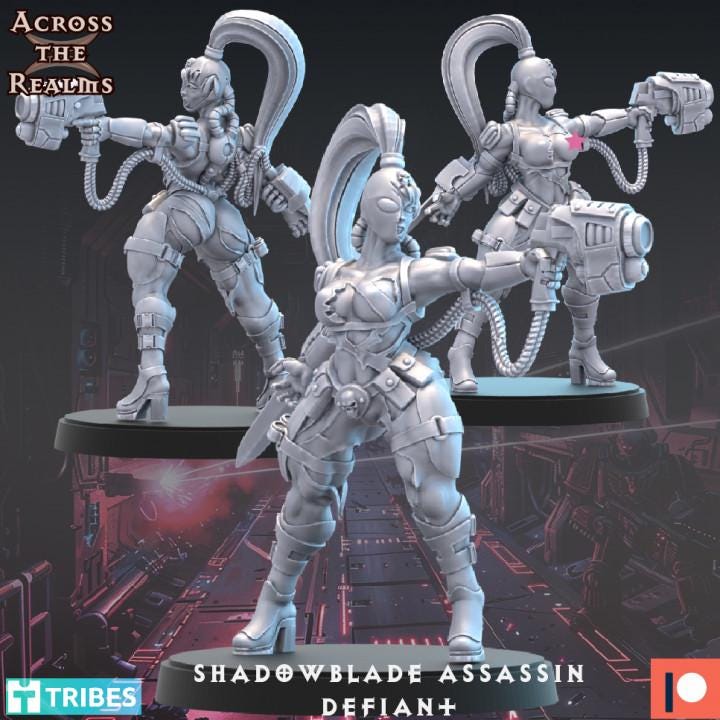 Shadowblade Assassin Miniature Set | Across the Realms | Grim Dark Resin Model | WH Compatible | OPR Compatible