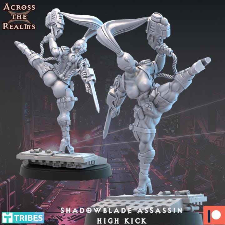 Shadowblade Assassin Miniature Set | Across the Realms | Grim Dark Resin Model | WH Compatible | OPR Compatible