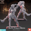 Orc Dungeon Mistress Miniature • Mature Fantasy • Grimdark Wargame Figure