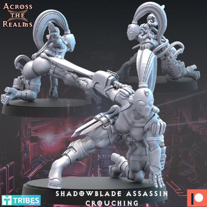 Shadowblade Assassin Miniature Set | Across the Realms | Grim Dark Resin Model | WH Compatible | OPR Compatible